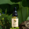 Dầu Dưỡng Mặt - Face Oil Blend  20ml