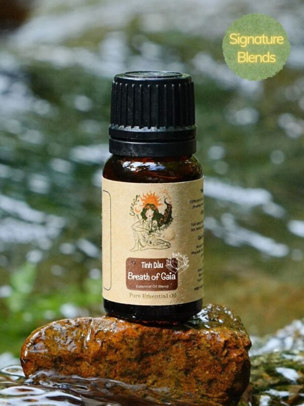 Breath of gaia Breath of Gaia - Essential Oil Blend By Cô Tiên Xanh