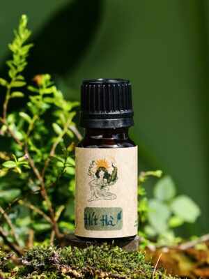 🩵 HÍT HÀ 🌀 Tinh dầu hỗ trợ hô hấp, giảm nghẹt mũi, ho sổ mũi - 10ml