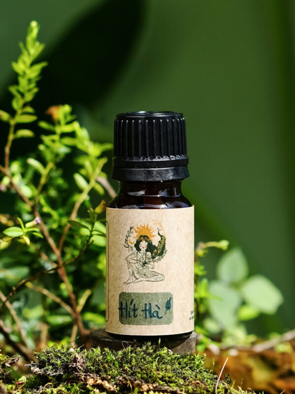 🩵 HÍT HÀ 🌀 Tinh dầu hỗ trợ hô hấp, giảm nghẹt mũi, ho sổ mũi - 10ml