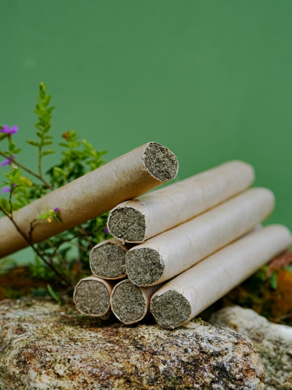 🌿 NGẢI CỨU RỪNG Thủ công – Thuần tự nhiên – Hương ấm lành từ núi rừng