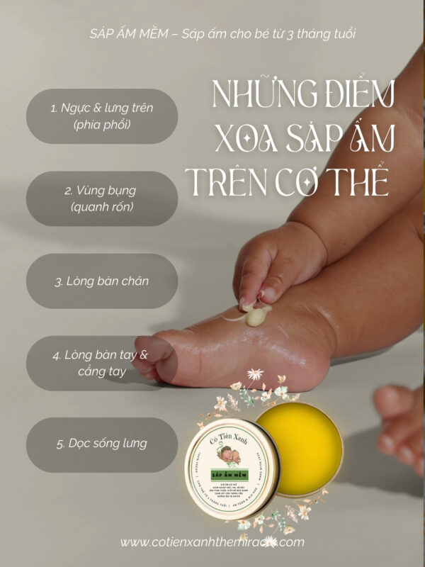 💛 SÁP ẤM MỀM - Sáp ấm cho bé từ 3 tháng tuổi - Hộp 20gr