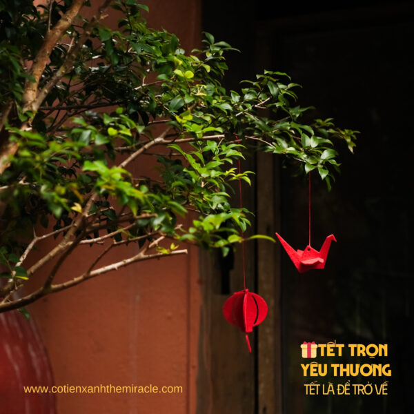 🎁 Set Quà Tết - Tết Là Để Trở Về